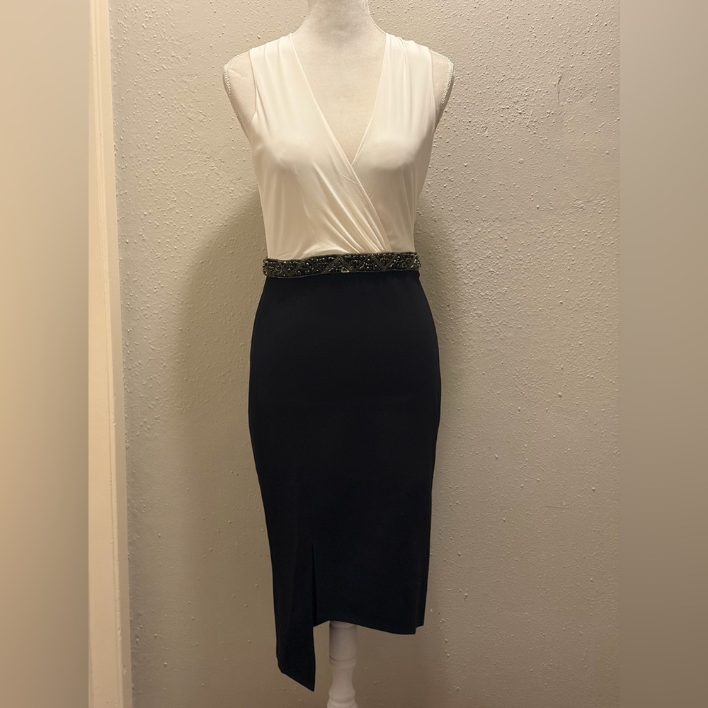 Haute Hippie Embellished Dress